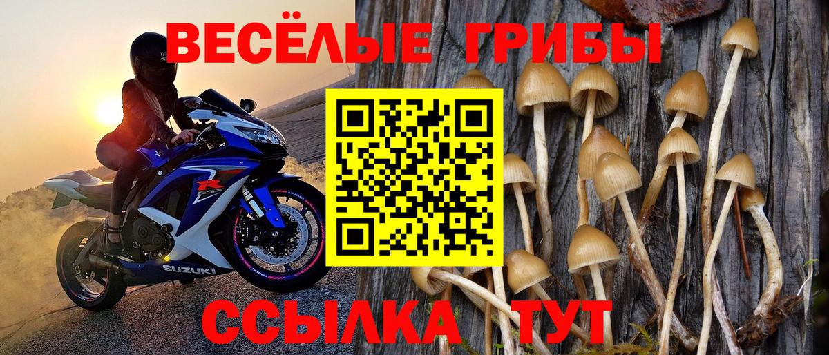 Галлюциногенные грибы прущие грибы Пыть-Ях