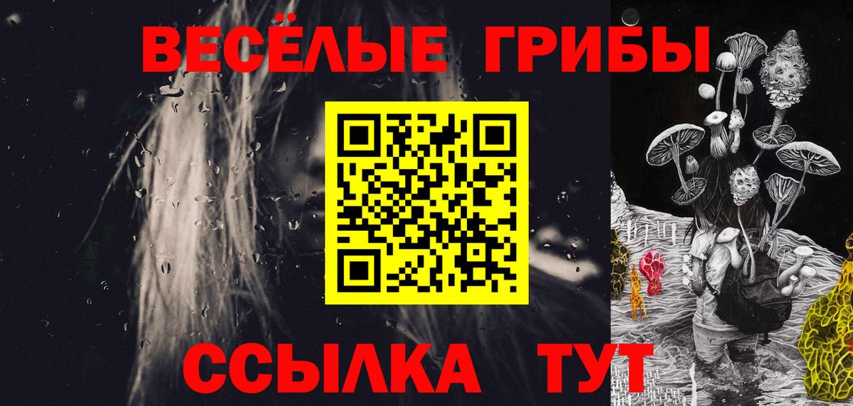 купить  цена  Вход с VPN  Псилоцибиновые грибы Psilocybine cubensis  Пыть-Ях  Псилоцибиновые грибы GOLDEN TEACHER 